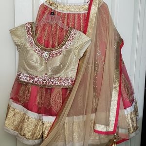 Indian wedding dress lehenga choli chaniya choli